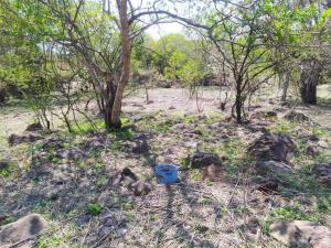 Terreno en venta en Jonacatepec de Leandro Valle Centro, Jonacatepec de Leandro Valle — foto 2 de 6