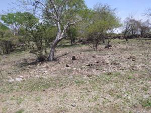 Terreno en venta en Jonacatepec de Leandro Valle Centro, Jonacatepec de Leandro Valle — foto 3 de 6