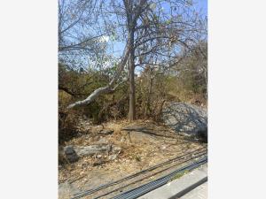 Terreno en venta en Las Fincas, Jiutepec, Morelos Terreno en venta en Las Fincas, Jiutepec, Morelos