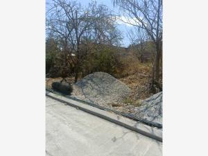 Terreno en venta en Las Fincas, Jiutepec — foto 2 de 4