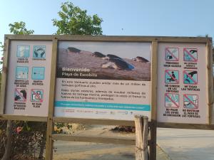 Terreno en venta en Escobilla, Santa María Tonameca — foto 3 de 11