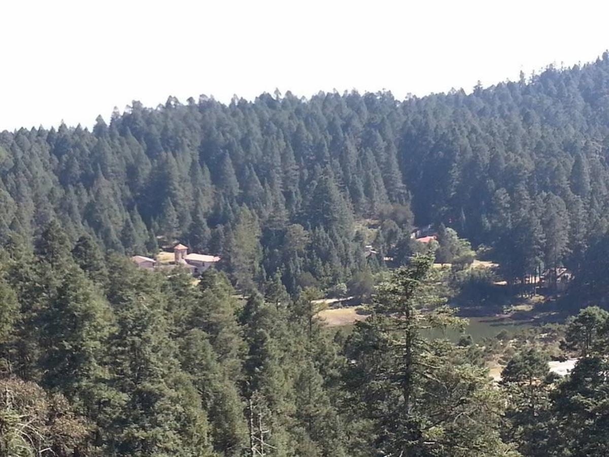 Terreno en venta en Mineral del Monte Centro, Mineral del Monte — foto 1 de 12