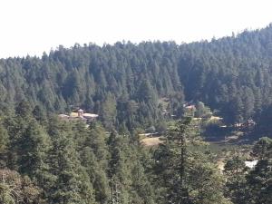 Terreno en venta en Mineral del Monte Centro, Mineral del Monte, Hidalgo