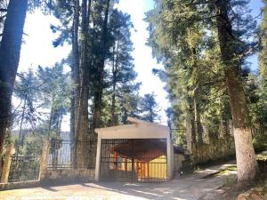 Terreno en venta en Mineral del Monte Centro, Mineral del Monte — foto 2 de 11