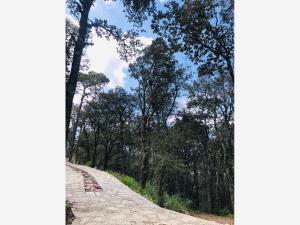 Terreno en venta en Mineral del Monte Centro, Mineral del Monte — foto 3 de 11