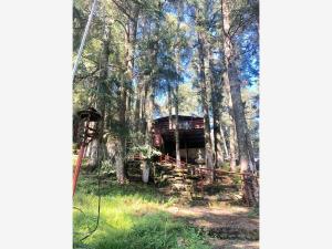 Terreno en venta en Mineral del Monte Centro, Mineral del Monte — foto 3 de 9