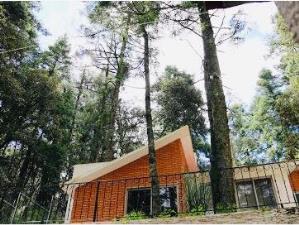 Terreno en venta en Mineral del Monte Centro, Mineral del Monte — foto 2 de 14