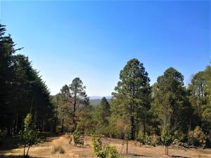 Terreno en venta en Monte de Peña, Villa del Carbón, México