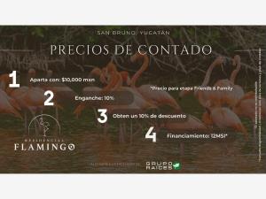 Terreno en venta en San Diego, Dzemul — foto 3 de 12