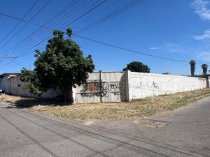 Bodega en venta en Vicente Guerrero, Torreón — foto 2 de 17