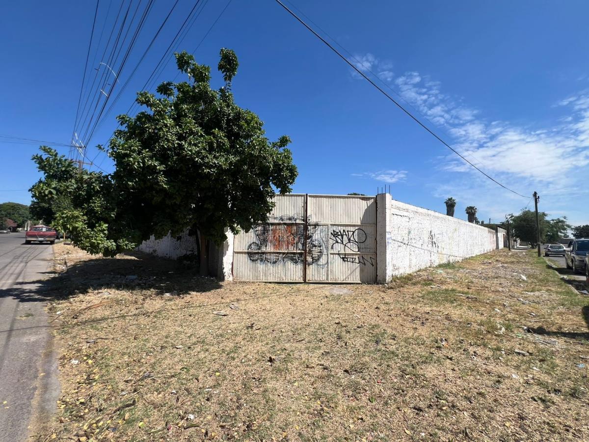 Bodega en Venta en Vicente Guerrero, Torreón, Coahuila de Zaragoza