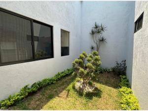 Casa en venta en Lomas de Atzingo, Cuernavaca — foto 2 de 19