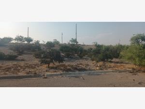Terreno en venta en Santa Maria, Ramos Arizpe — foto 2 de 3
