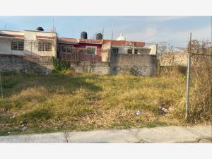 Terreno en venta en Castilla, Tepic — foto 3 de 4