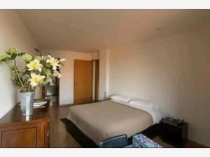 Departamento en venta en Juarez, Cuauhtémoc — foto 2 de 29