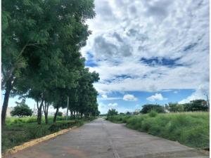 Terreno en venta en Residencial del Bosque, Veracruz — foto 3 de 7