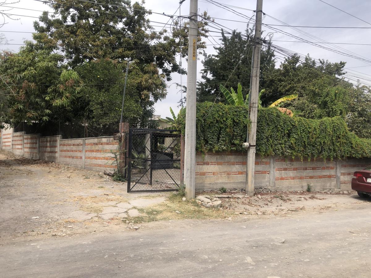 Terreno en venta en Tetelpa, Zacatepec — foto 1 de 8