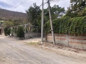 Terreno en venta en Tetelpa, Zacatepec — foto 2 de 8