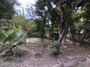 Terreno en venta en Tetelpa, Zacatepec — foto 3 de 8