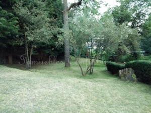 Casa en venta en Tres Marias, Huitzilac — foto 2 de 2
