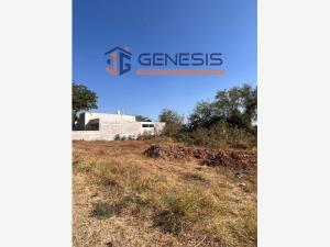 Terreno en venta en El Chanal, Colima, Colima