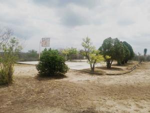 Quinta en venta en Los Girasoles, Pesquería — foto 2 de 7