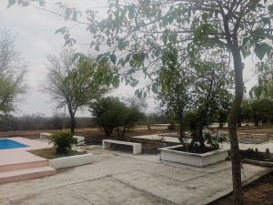 Quinta en venta en Los Girasoles, Pesquería — foto 3 de 7