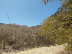 Terreno en venta en La Venta del Astillero, Zapopan — foto 2 de 22
