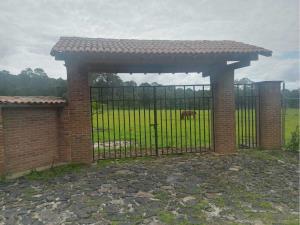 Terreno en venta en San Gabriel Ixtla, Valle de Bravo — foto 3 de 16
