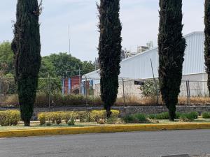 Terreno en renta en Atlixco Centro, Atlixco — foto 3 de 14