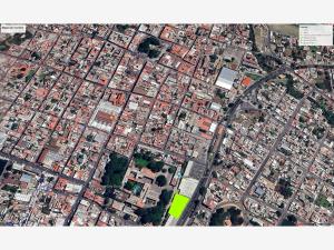 Terreno en renta en Atlixco Centro, Atlixco — foto 2 de 14