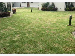 Departamento en renta en Santa Lucia, Álvaro Obregón — foto 2 de 13