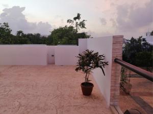 Casa en venta en Arbolada, Benito Juárez — foto 3 de 9