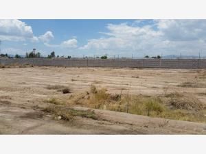 Terreno en venta en Las Quintas, Torreón — foto 3 de 3