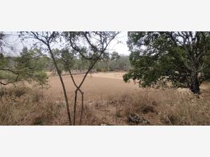 Terreno en venta en El Rincon, Jilotepec — foto 3 de 8