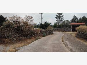 Terreno en venta en El Rincon, Jilotepec — foto 3 de 11
