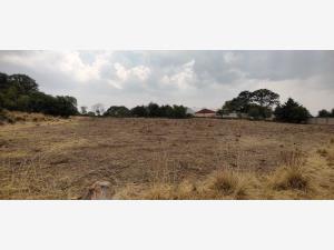 Terreno en venta en El Rincon, Jilotepec — foto 2 de 11