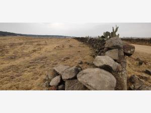 Terreno en venta en El Rincon, Jilotepec — foto 3 de 6