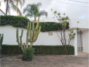 Casa en venta en Balcones del Campestre, León — foto 3 de 30