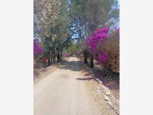 Finca-Rancho en venta en Veta de Ramales, Silao de la Victoria — foto 2 de 16
