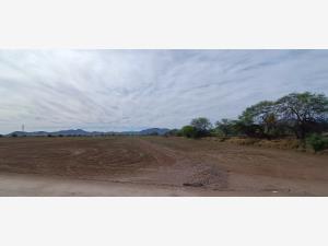 Terreno en venta en Lerdo Centro, Lerdo — foto 3 de 10