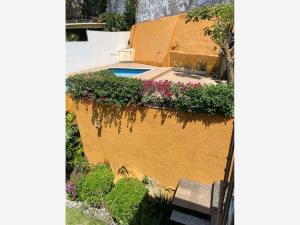 Casa en renta en Junto al Río, Temixco — foto 3 de 39