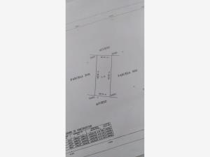 Terreno en venta en San Antonio de las Alazanas, Arteaga, Coahuila de Zaragoza