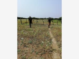 Terreno en venta en El Nanche, Isla — foto 2 de 4