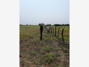 Terreno en venta en El Nanche, Isla — foto 3 de 4
