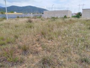 Terreno en venta en El Pedregal, San Francisco Lachigolo — foto 2 de 2
