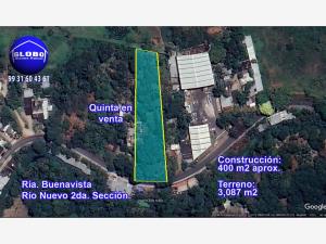 Quinta en venta en Buena Vista Río Nuevo 2da. Sección, Centro — foto 2 de 23