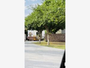 Terreno en Las Trojes, Torreón, Coahuila de Zaragoza