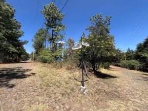 Terreno en venta en Amealco de Bonfil Centro, Amealco de Bonfil — foto 2 de 5