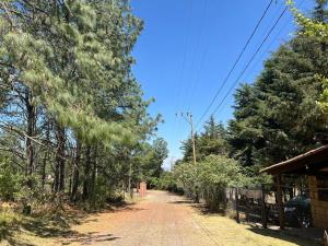Terreno en venta en Amealco de Bonfil Centro, Amealco de Bonfil — foto 3 de 5